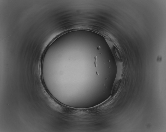 X0000092260796200710051318