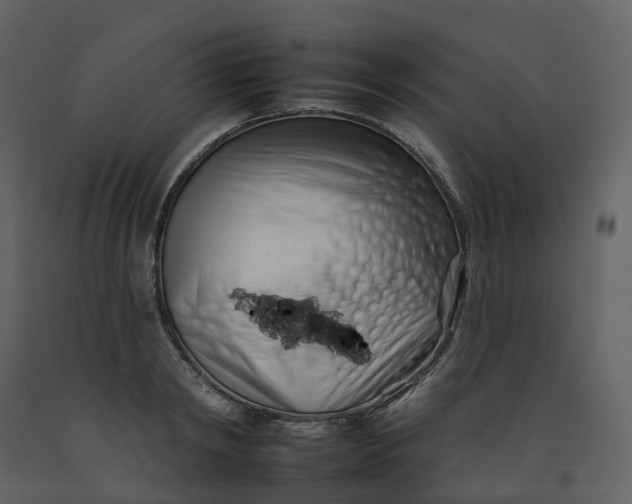 X0000092260798200710051318