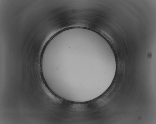 X0000092260800200710051318