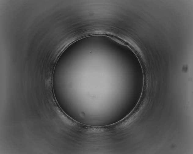 X0000092260801200710051318