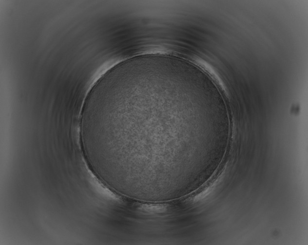 X0000092260802200710051318