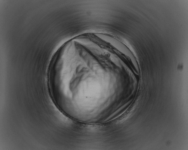 X0000092260803200710051318