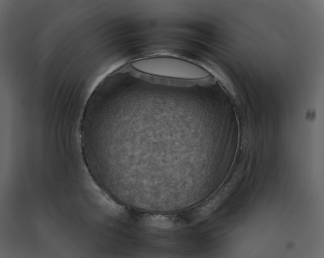 X0000092260806200710051318