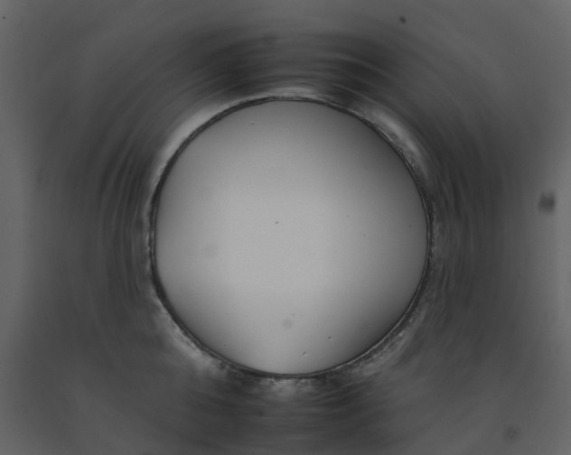 X0000092260808200710051318