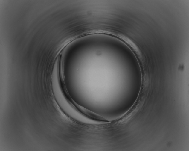 X0000092260809200710051318