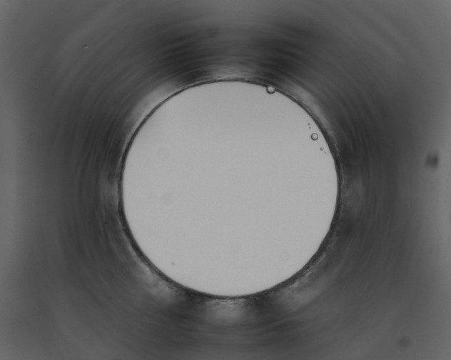 X0000092260810200710051318