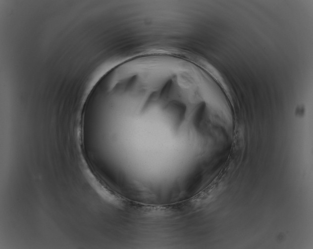 X0000092260811200710051318