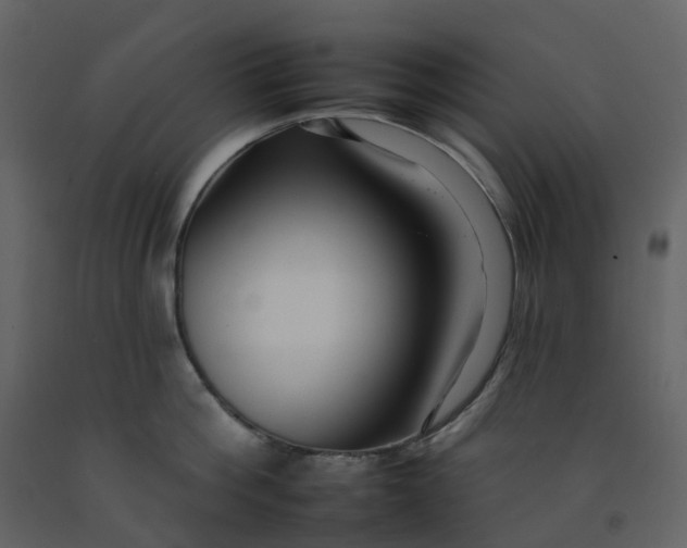 X0000092260812200710051318