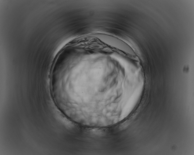 X0000092260814200710051318