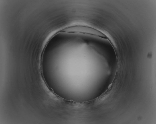 X0000092260815200710051318