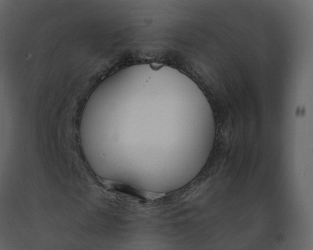 X0000092260817200710051317