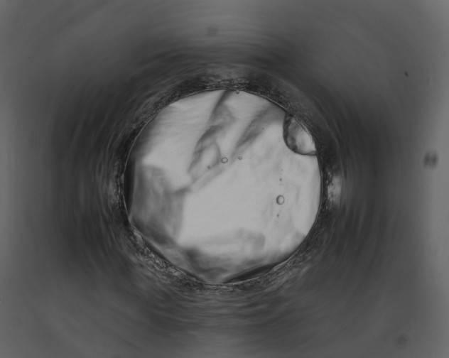 X0000092260819200710051317