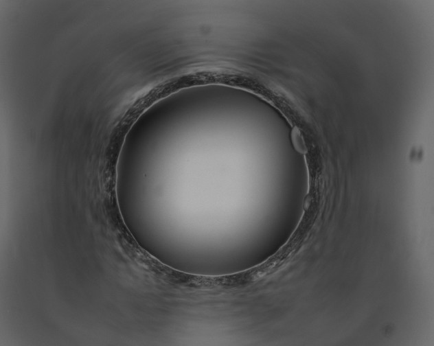 X0000092260822200710051317