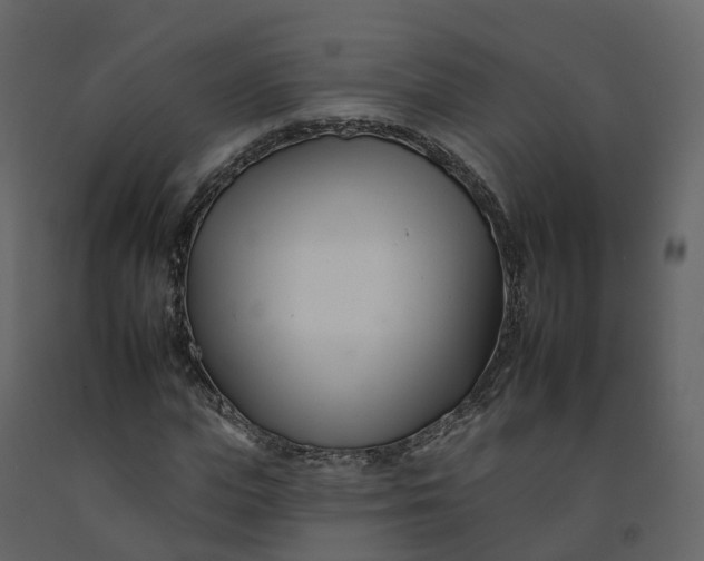 X0000092260823200710051317