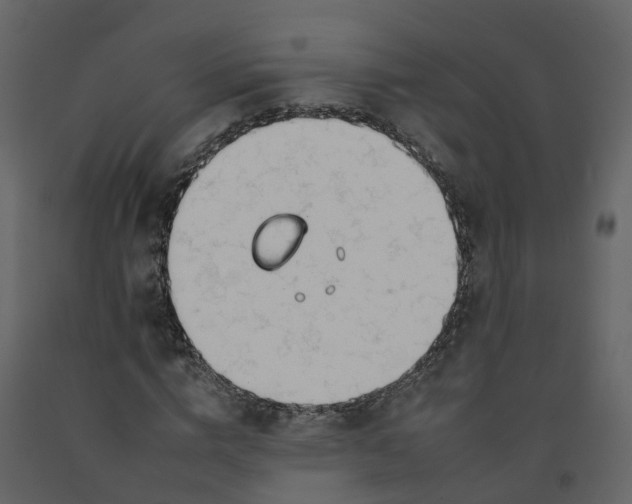 X0000092260824200710051317