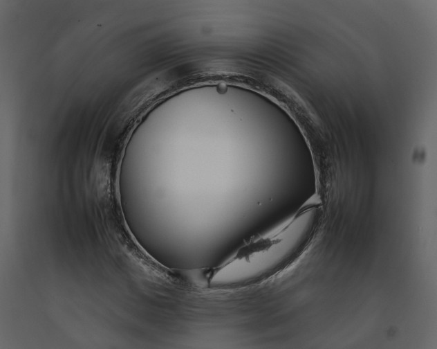 X0000092260825200710051317