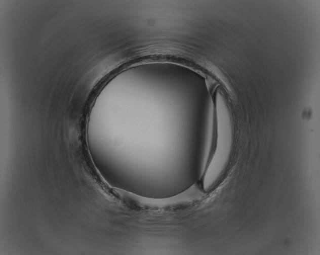 X0000092260826200710051317