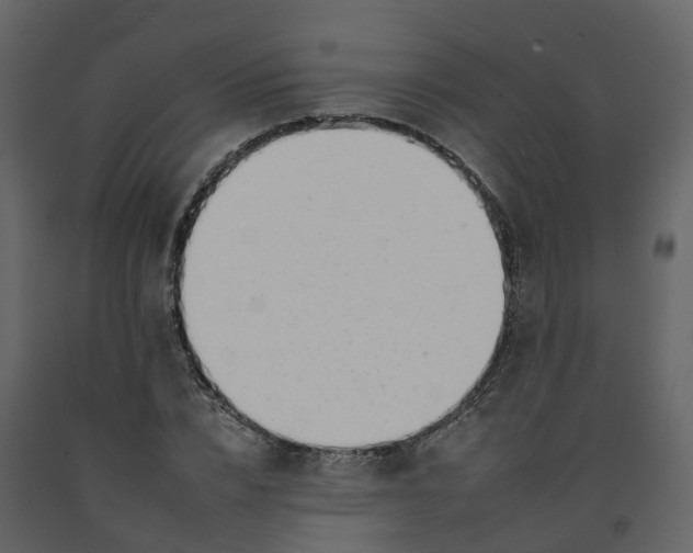 X0000092260832200710051317