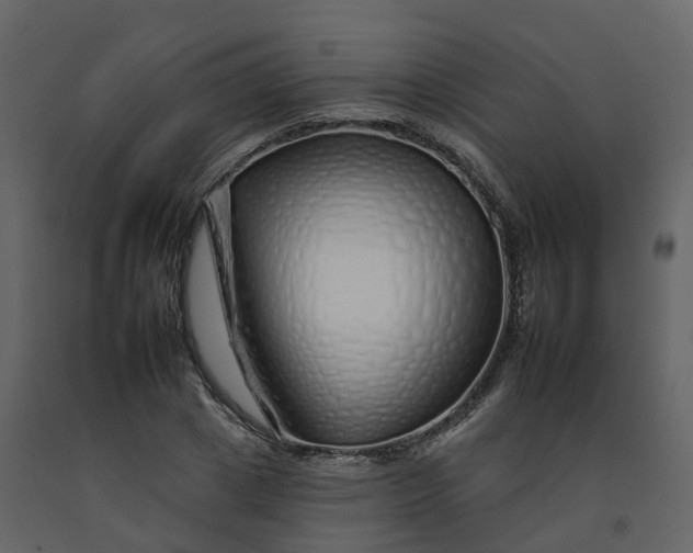 X0000092260833200710051317