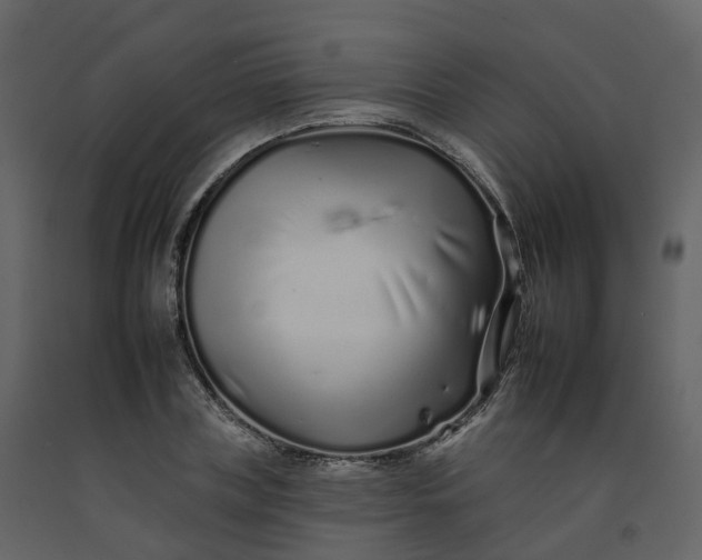 X0000092260835200710051317