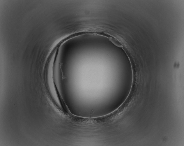 X0000092260838200710051317