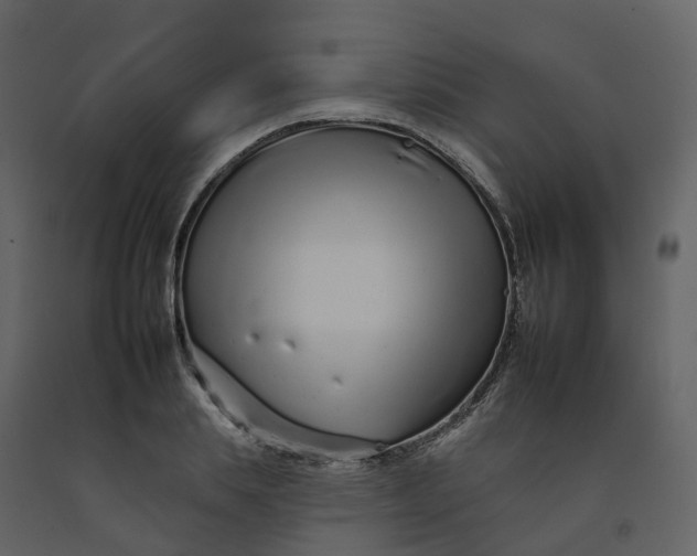 X0000092260839200710051317