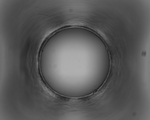 X0000092260840200710051317