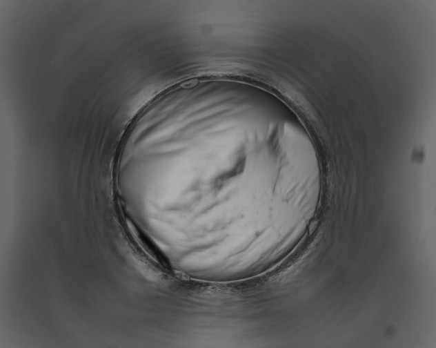 X0000092260842200710051317