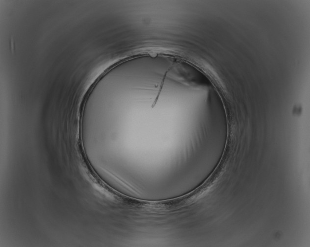 X0000092260844200710051318