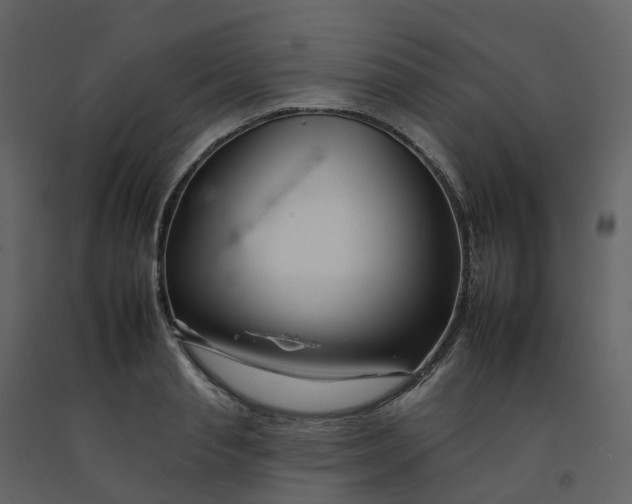 X0000092260845200710051318