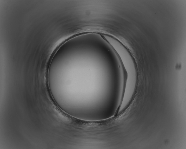 X0000092260846200710051318