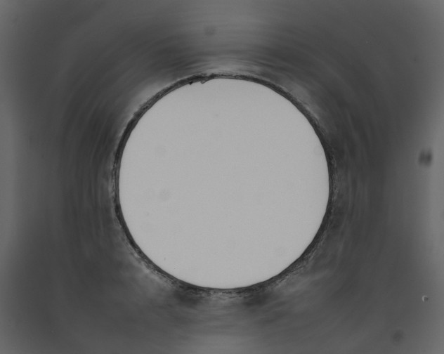 X0000092260848200710051318