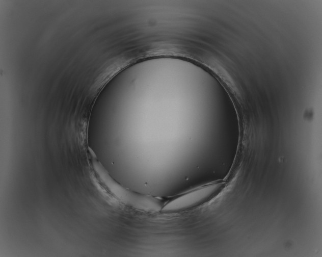 X0000092260849200710051318