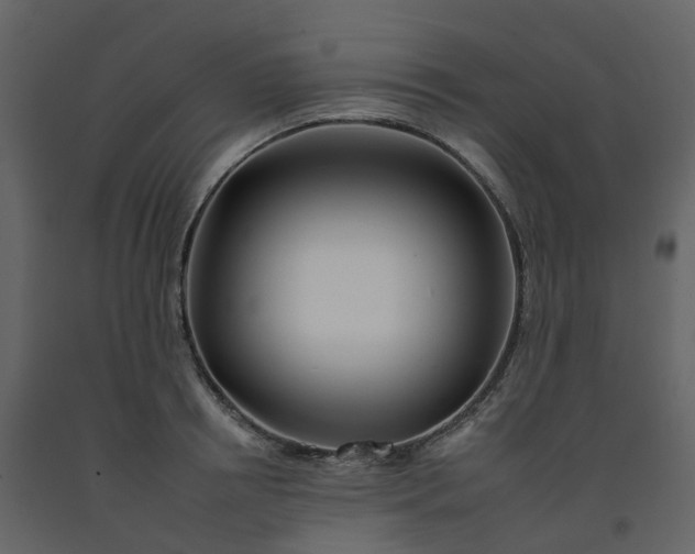 X0000092260850200710051318