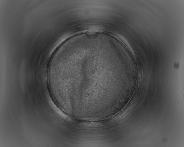 X0000092260851200710051318