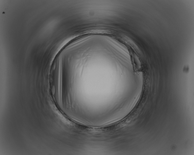 X0000092260852200710051318