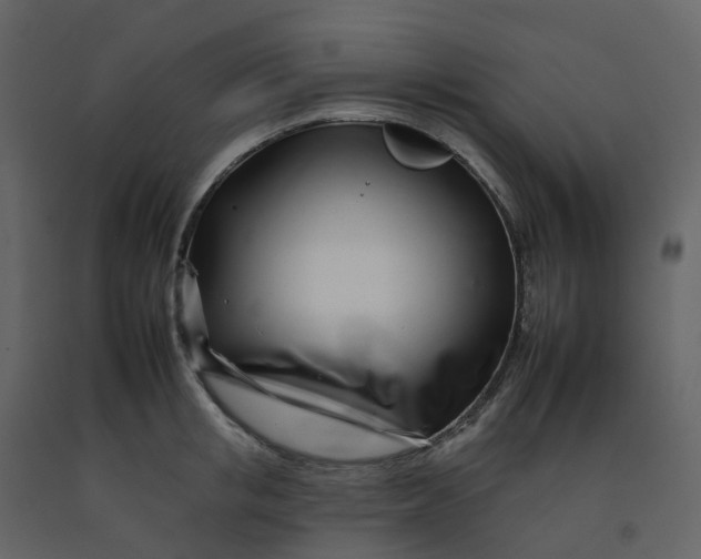 X0000092260853200710051318