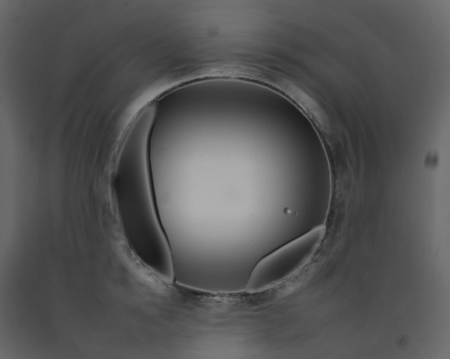 X0000092260854200710051318