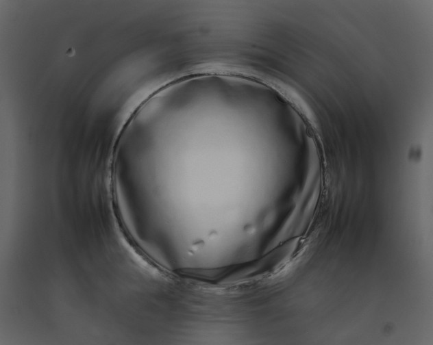 X0000092260855200710051318