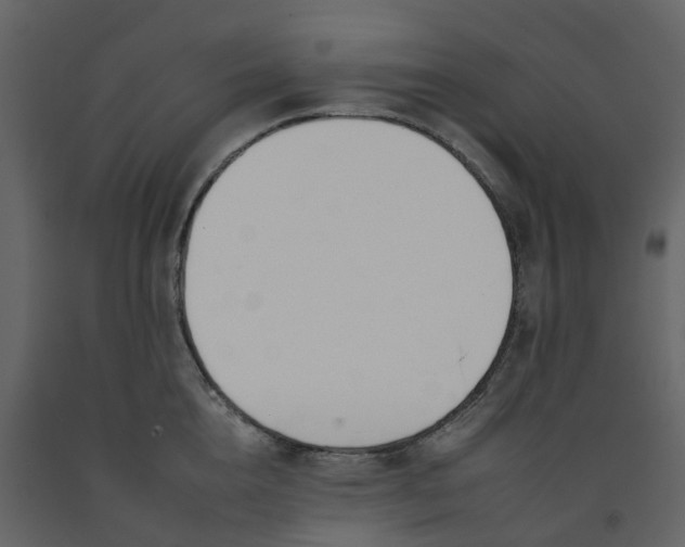 X0000092260856200710051318