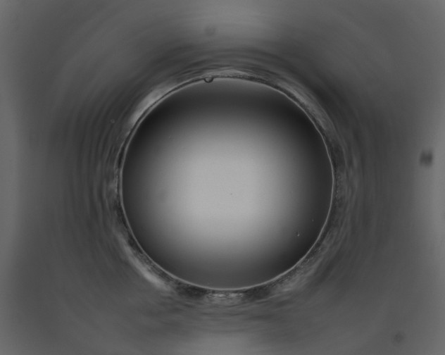 X0000092260858200710051318