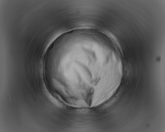 X0000092260859200710051318