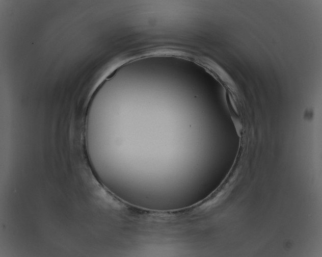 X0000092260860200710051318