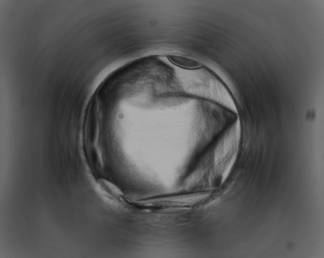 X0000092260861200710051318