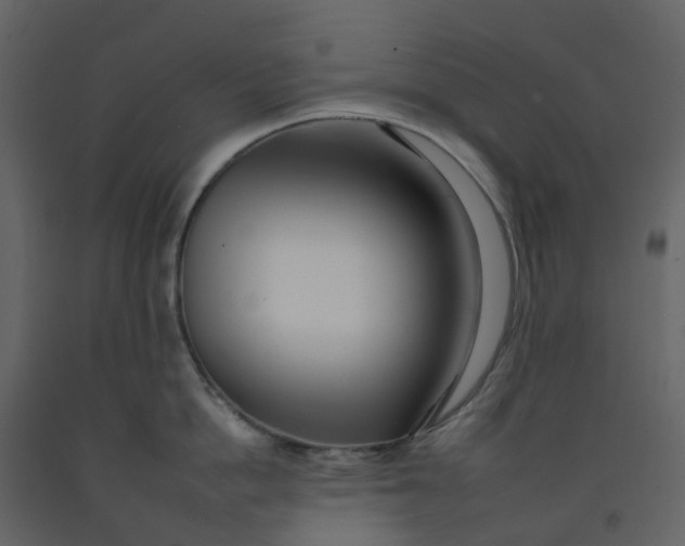 X0000092260862200710051318