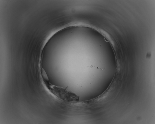 X0000092260863200710051318