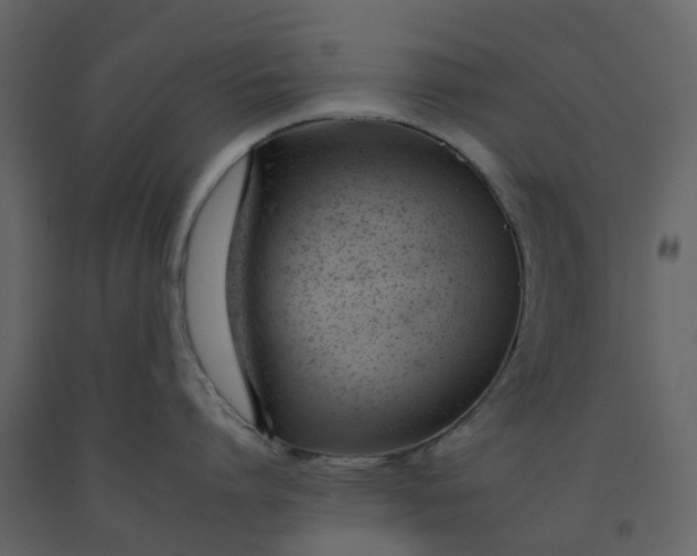 X0000092260864200710051318