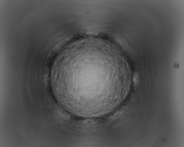 X0000092260867200710051317