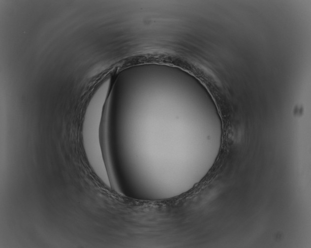 X0000092260869200710051317