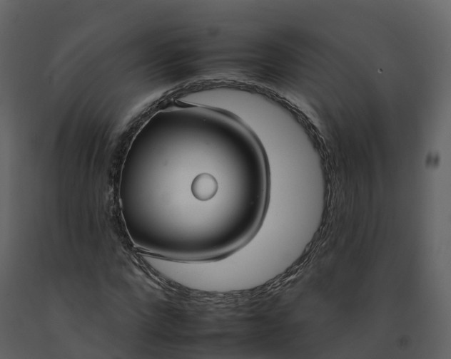 X0000092260872200710051317